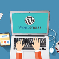 Why should we choose WordPress?